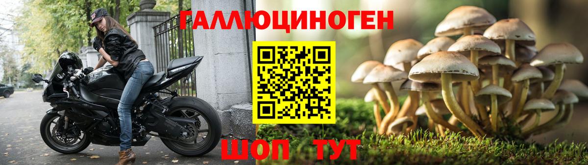 Холмск  Псилоцибиновые грибы Magic Shrooms  Вход с VPN 