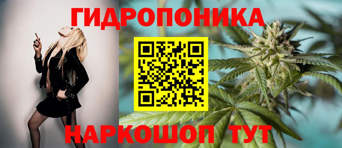 Марихуана Amnesia  Бошки Шишки план  Бошки марихуана планчик  Холмск  Вход с VPN 